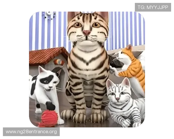 南宫NG官网入口官方最新公告及登录入口更新动态