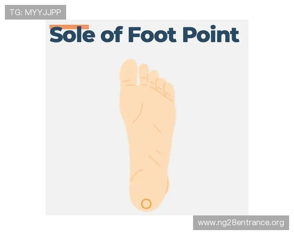 南宫壹号app下载官网详细教程，帮助新手快速上手游戏操作指南